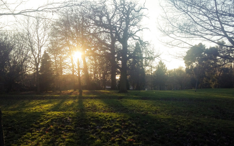 Danas sunčano i toplo