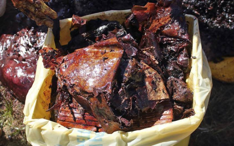 U stomaku uginulog kita pronađena 22 kilograma plastičnih kesa i predmeta