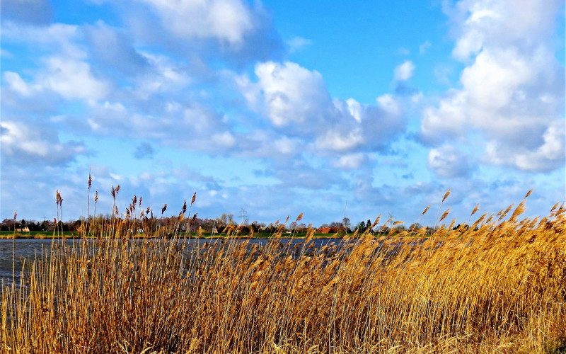 Promjenljivo oblačno vrijeme sa jakim vjetrom