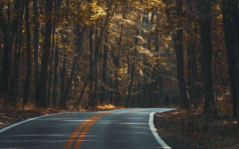 Bez problema u saobraćaju i na graničnim prelazima