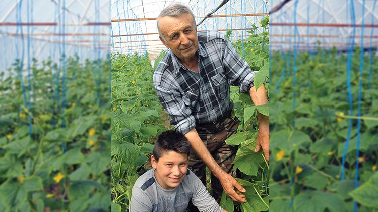PORODICA KOJIĆ IZ CRNjELOVA: Među prvima proizveli rani krastavac