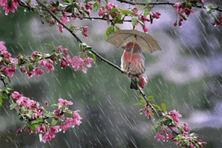 Kakvo vrijeme očekujemo sljedeće sedmice