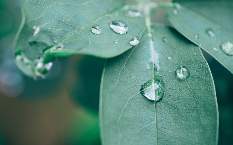 Sutra oblačno, povremeno sa slabom kišom