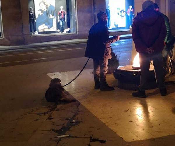 Silovao psa u centru Sarajeva