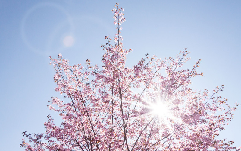 Danas sunčano i toplije