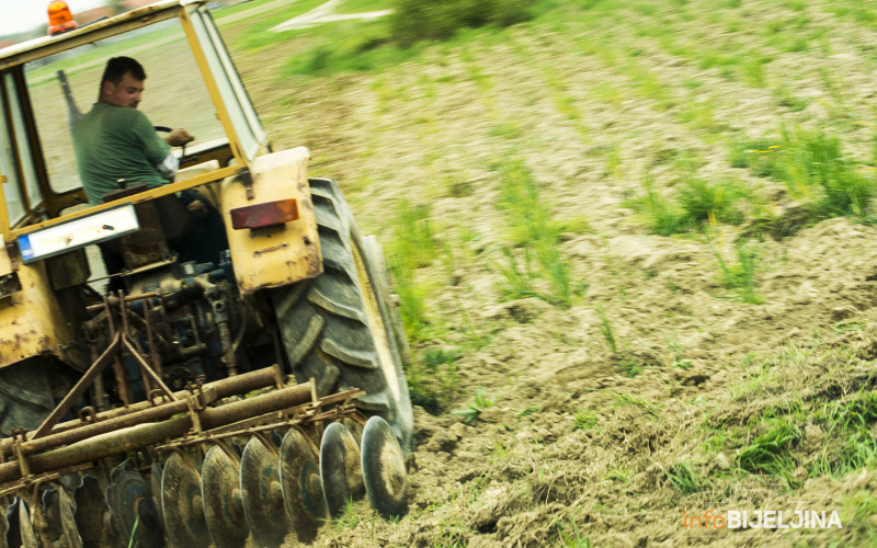 Formiranje klastera će uključiti male proizvođače u proizvodnju za sigurno tržište