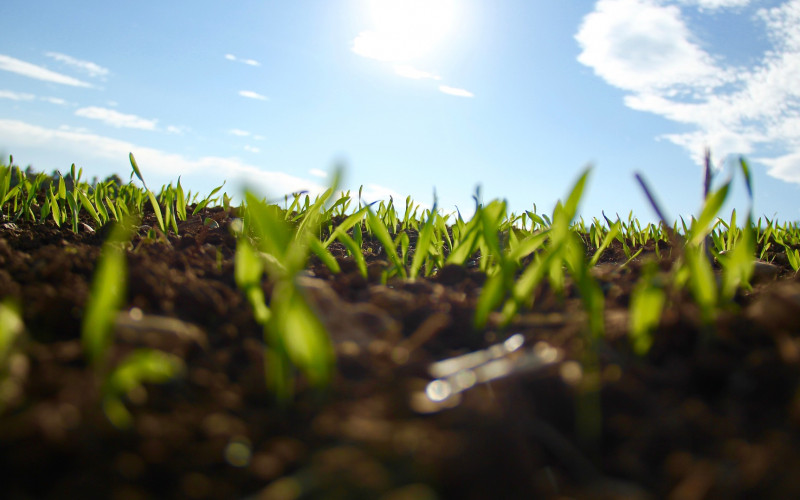 Danas u BiH umjereno oblačno, ali toplo