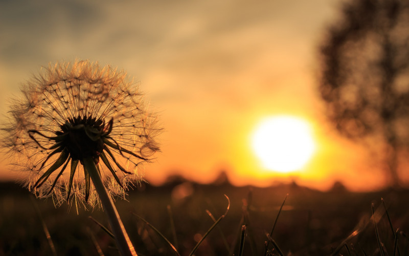 Sutra sunčano, temperatura i do 29 stepeni