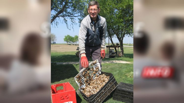 Počeo otkup puževa u Semberiji