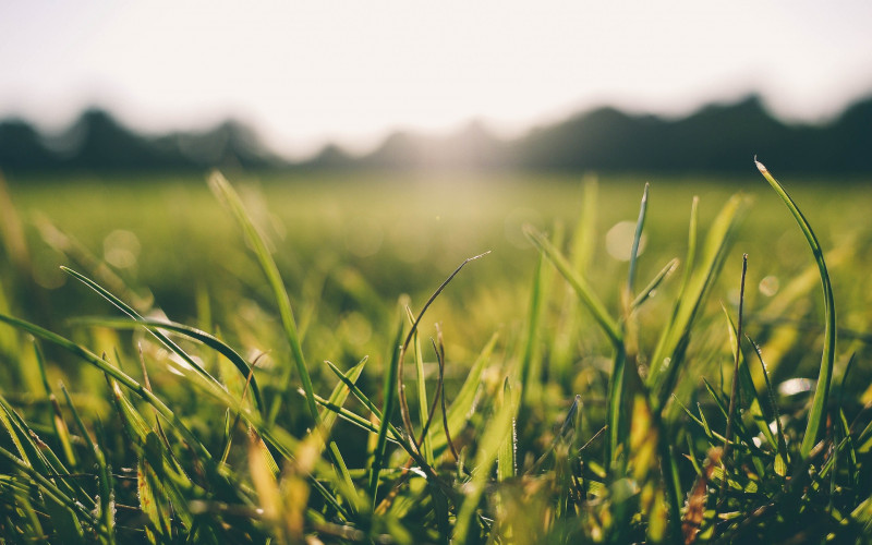 Sutra do 30 stepeni, a u noći na subotu moguća je kiša