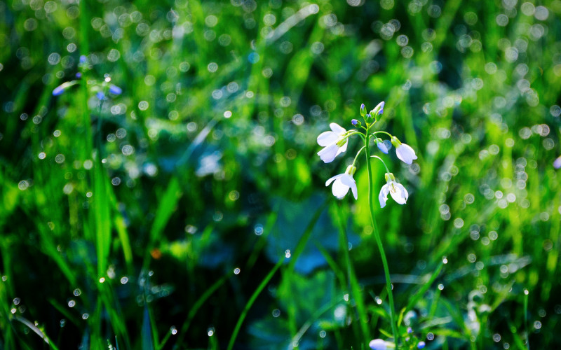 Sutra promjenljivo oblačno uz moguće lokalne pljuskove