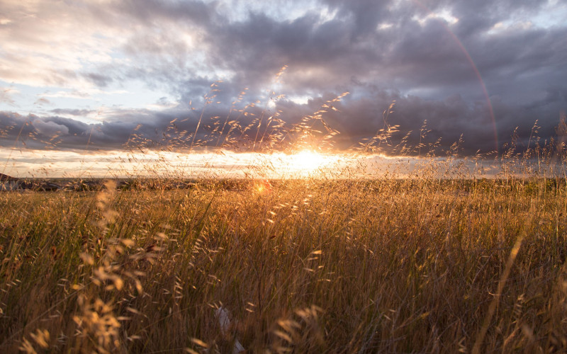 Danas umjereno oblačno, ponegdje pljuskovi