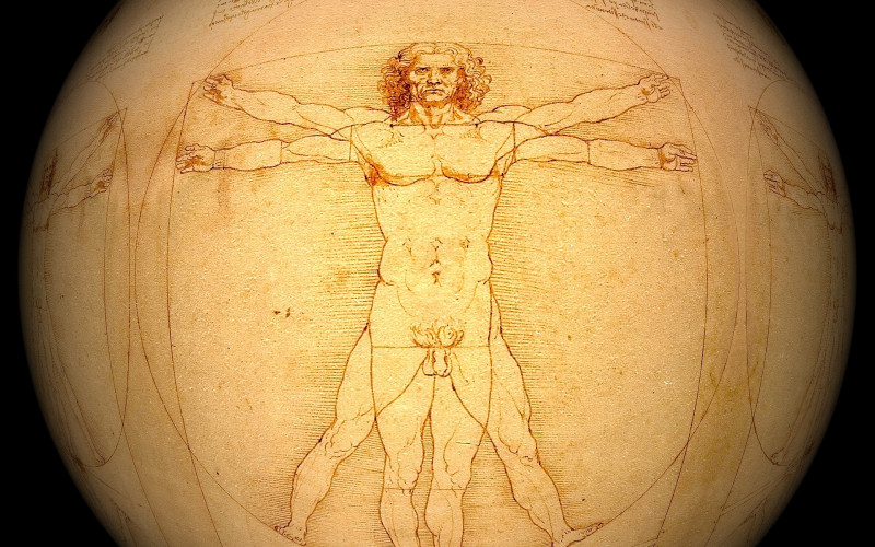 Portret Leonarda da Vinčija prvi put pred očima javnosti