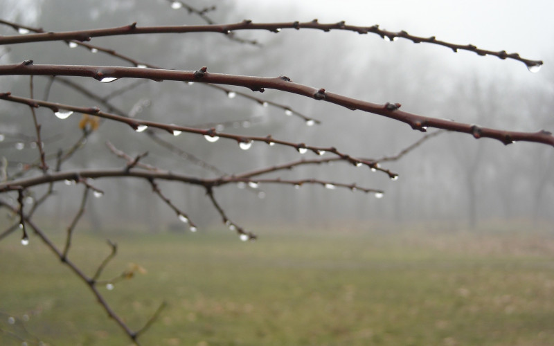 Danas oblačno sa kišom, na planinama snijeg