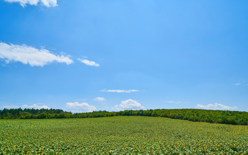 Danas oblačno i toplije nego juče