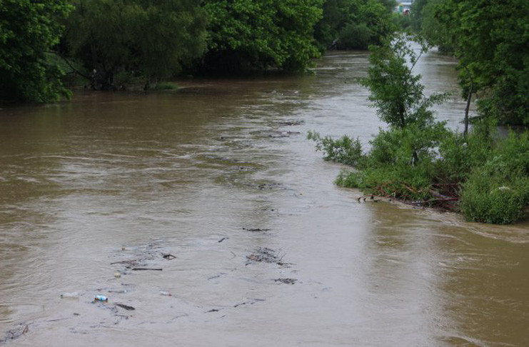 Nivo rijeke Bosne 315 centimetara
