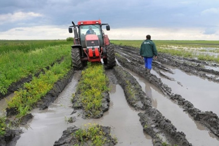 Poplave uzrokovale štetu u poljoprivrednoj proizvodnji: Uništena proljećna sjetva
