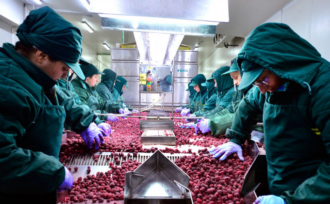 Privrednici zaradili 1,66 milijardi KM