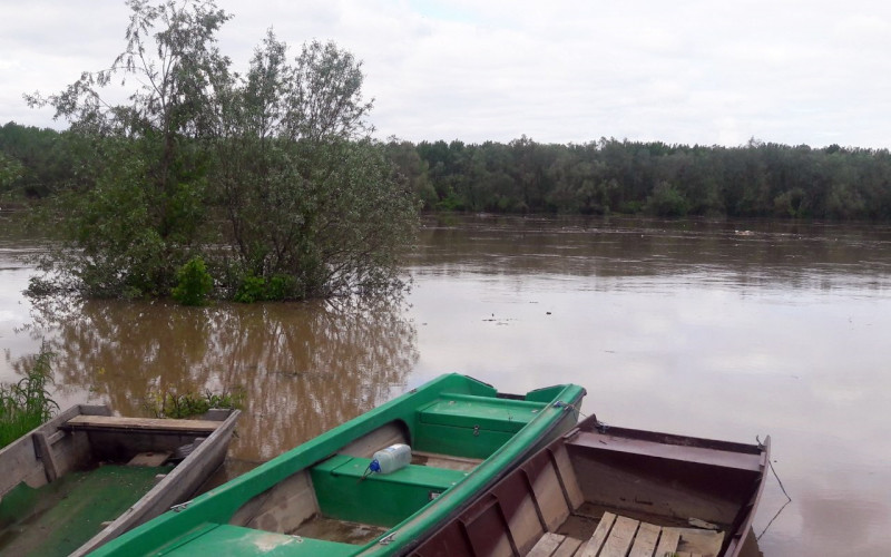 Raste Sava, kod Broda prešla kotu