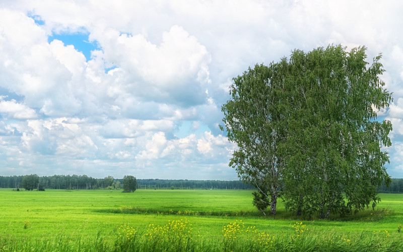 Danas promjenjivo oblačno, popodne pljuskovi
