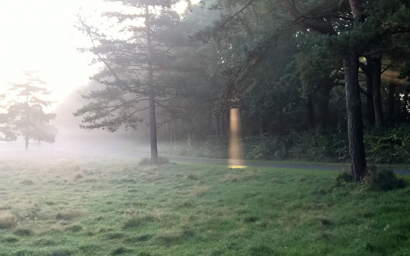 Gusta magla smanjuje vidljivost na više dionica