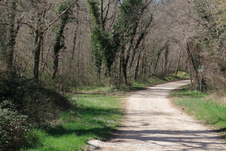 Kinezi zalutali zbog navigacije, pronađeni u selu kod Višegrada