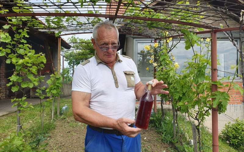 Prvi vinogradi na Majevici