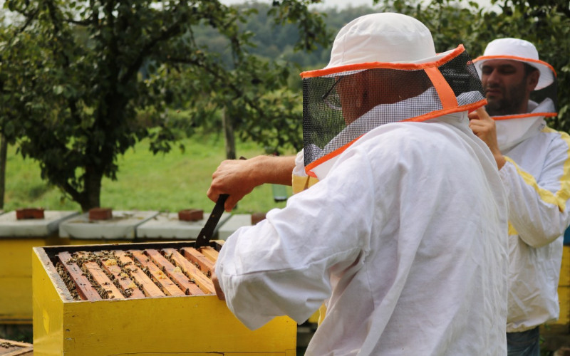 Kiše prepolovile prinos meda u Semberiji