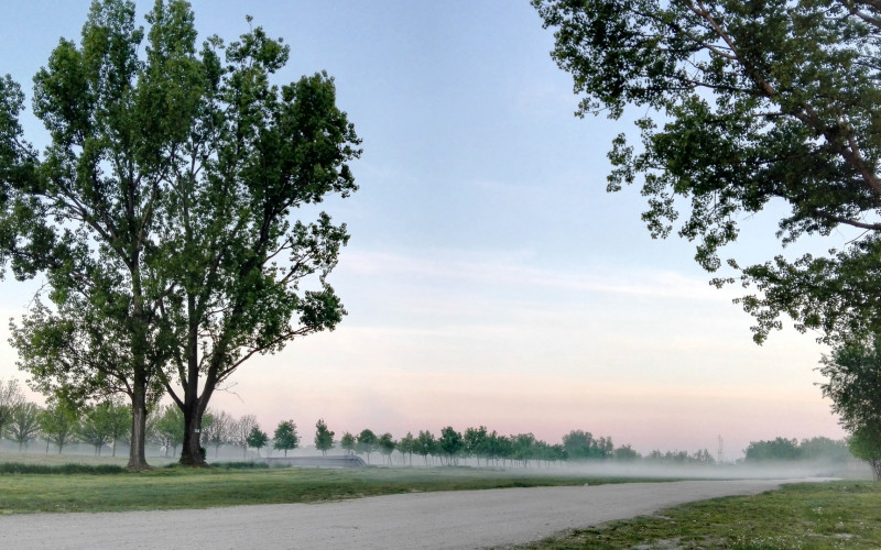 Magla smanjuje vidljivost pored rijeka