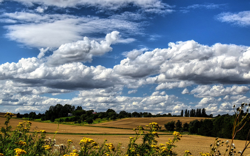 Danas promjenljivo oblačno, popodne pljuskovi