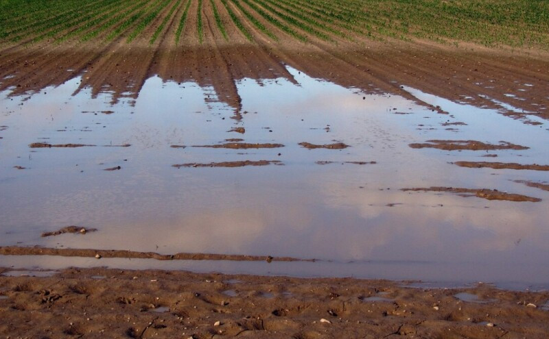 Nakon povlačenja bujičnih voda ostala samo šteta semberskim poljoprivrednicima