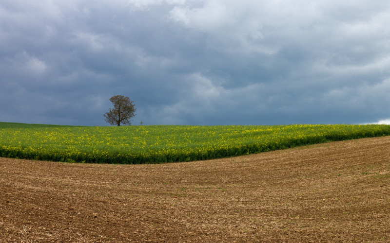 Danas promjenljivo oblačno, popodne pljuskovi, temperatura do 25 stepeni