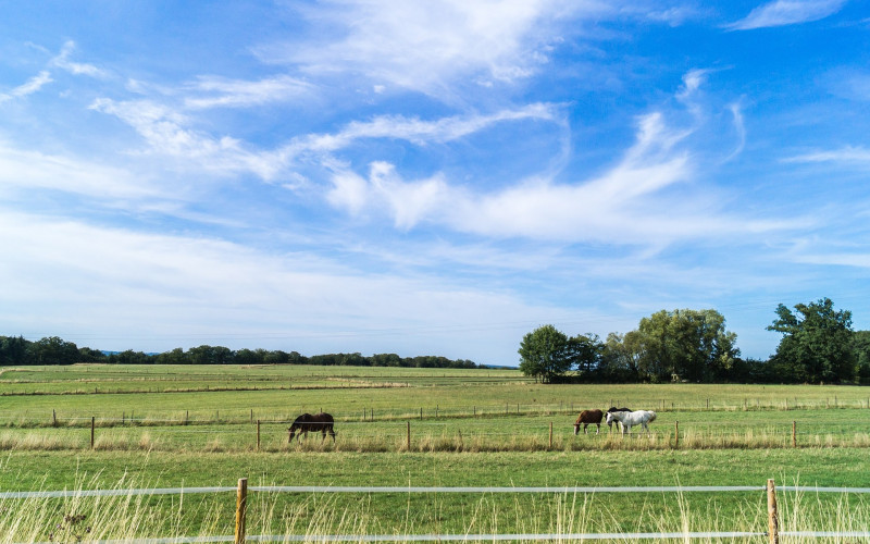Danas promjenljivo oblačno, popodne pljuskovi