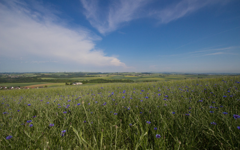 Sutra veoma toplo i sparno, do 30 stepeni
