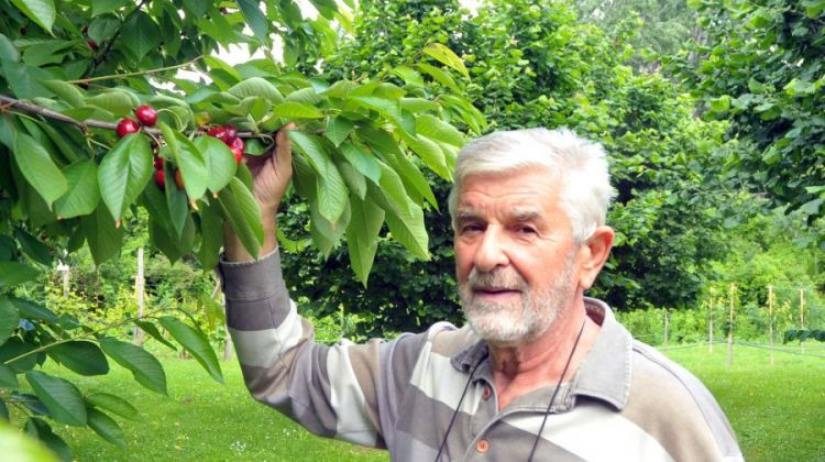 Penzionisani profesor iz Trnjaka vrstan voćar