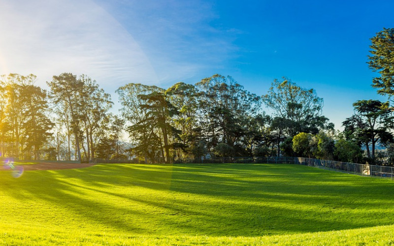 Danas sunčano i veoma toplo
