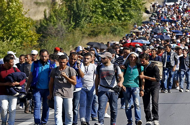 Od početka godine 330 odsto više migranata nego u istom periodu lani