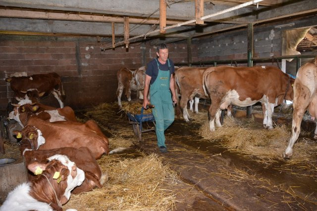 Mićić : Stočarima jednostavnije procedure za građevinske dozvole