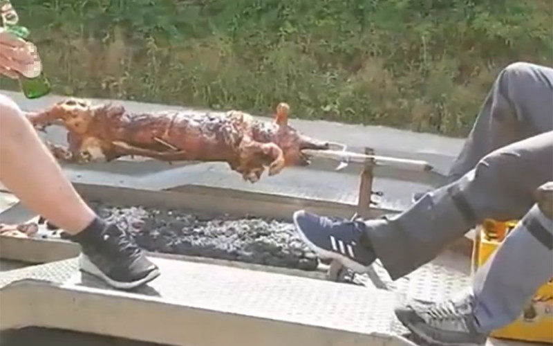 Banjalučani osmislii novi način pečenja praseta