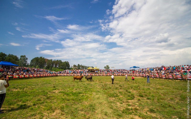 Održana korida u Bijeljini