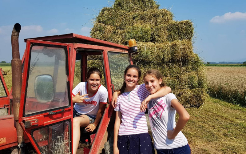 SESTRE CACANOVIĆ IZ GOLOG BRDA Sa tatom na njivu i u traktor