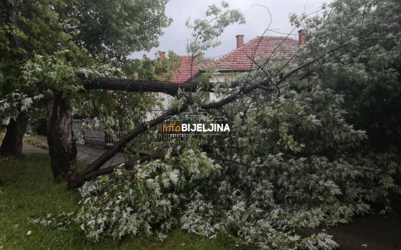 Nevrijeme u Bijeljini: Vjetar lomio stabla i poskidao crijep