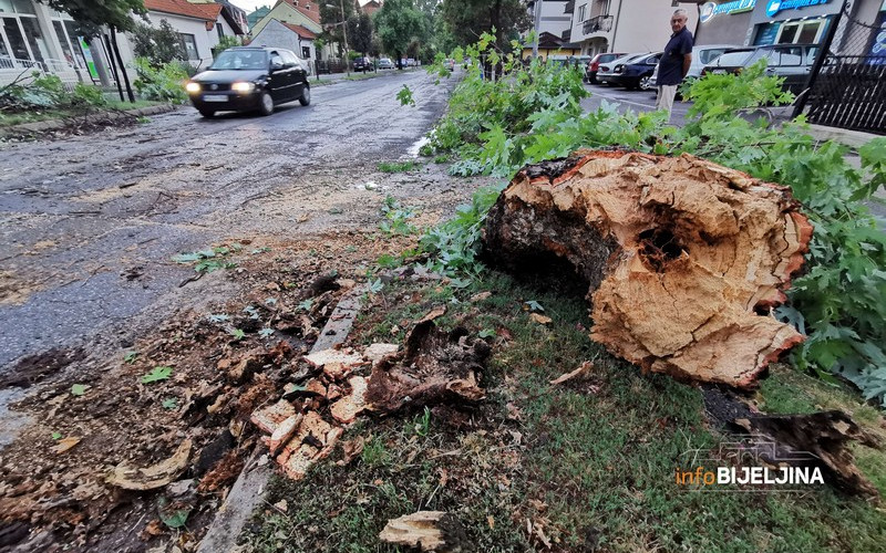 Bijeljina: Pogledajte posljedice današnjeg nevremena, vjetar lomio stabla, skidao crijep sa krovova /FOTO/