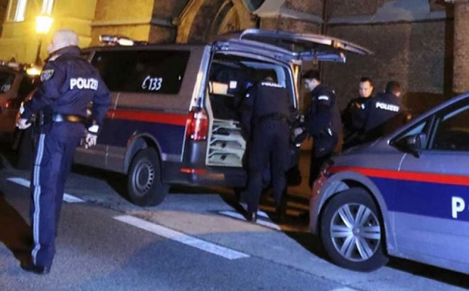 Srpkinja napravila haos u centru Beča