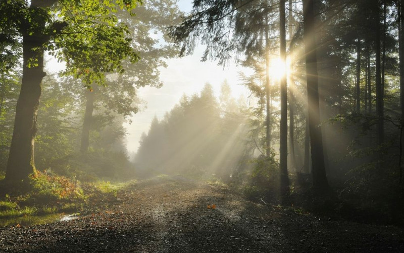 Sutra sunčano i svježe za ovo doba godine