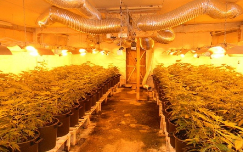 Uhapšena četiri lica: Otkrivena laboratorija za proizvodnju droge