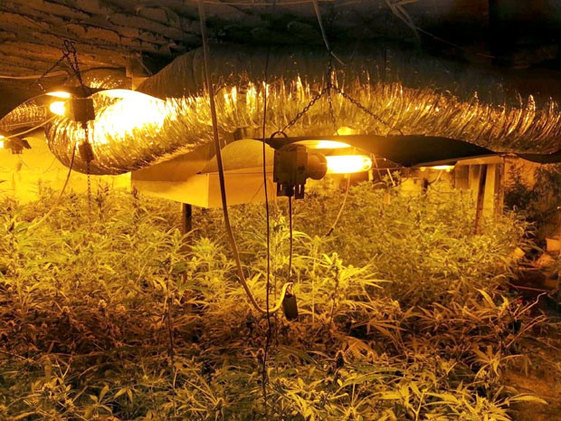 KAO U FILMOVIMA: Mislili su da je u pitanju hidraulični sto, a onda je policija ostala u šoku