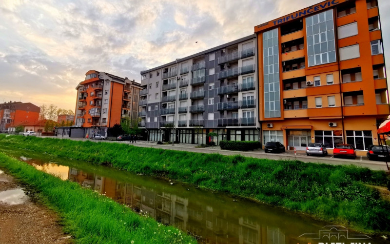 Bijeljina: Stari hrast koji je nekada krasio dio grada