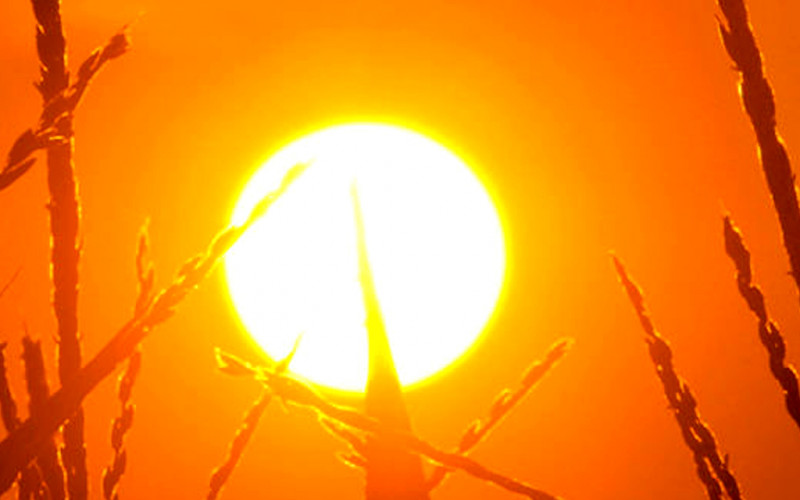 Sutra sunčano i veoma toplo