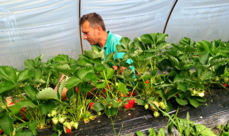 Neobična prodavnica organske hrane u Bijeljini – kupci beru šta žele kupiti